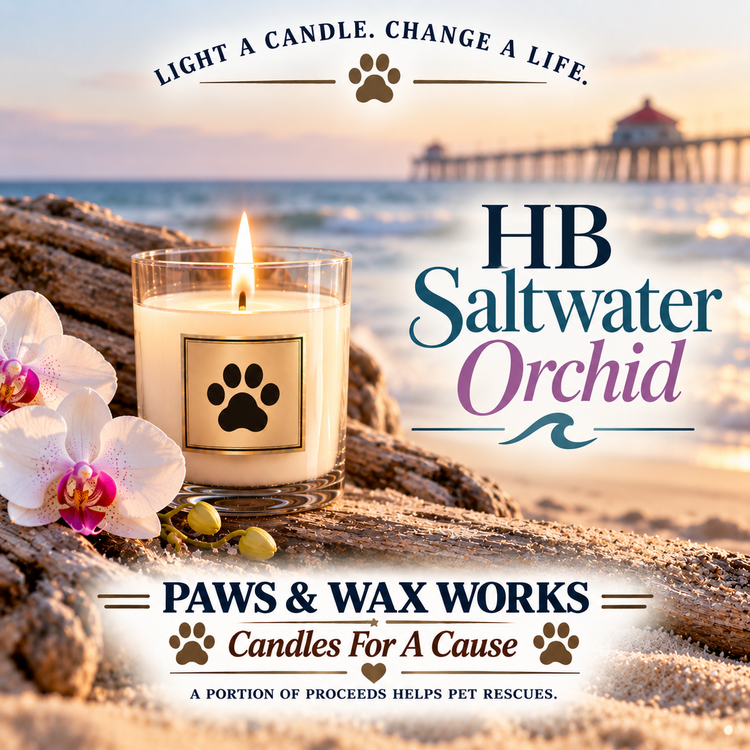 Candles With A Cause 13.5 Double Wick Collection